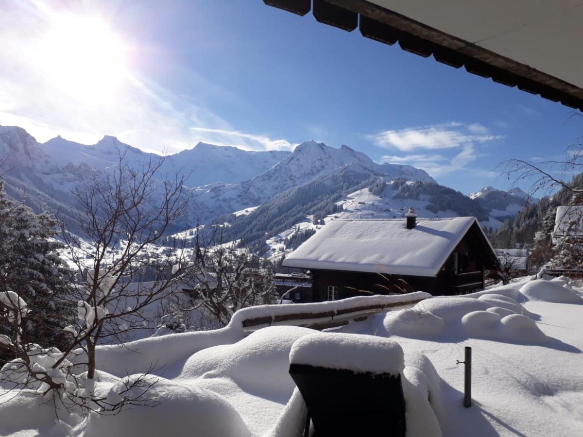 Chalet Gotthelf Gartenstudio, Ferien Mit Hund Adelboden Luaran gambar