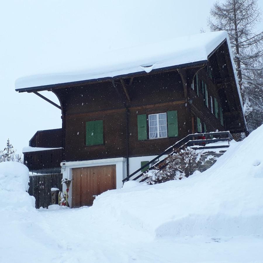 Chalet Gotthelf Gartenstudio, Ferien Mit Hund Adelboden Luaran gambar