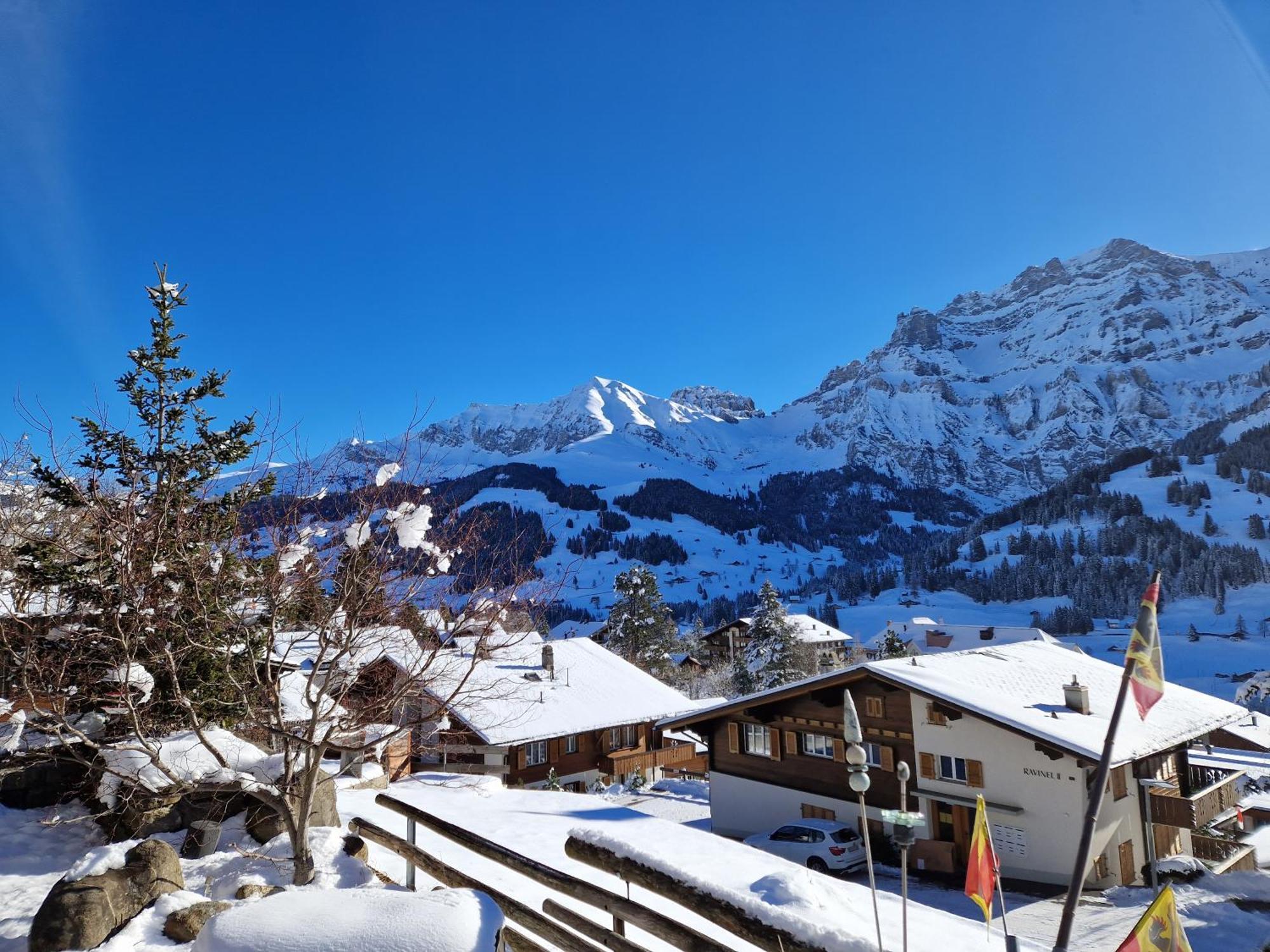Chalet Gotthelf Gartenstudio, Ferien Mit Hund Adelboden Luaran gambar