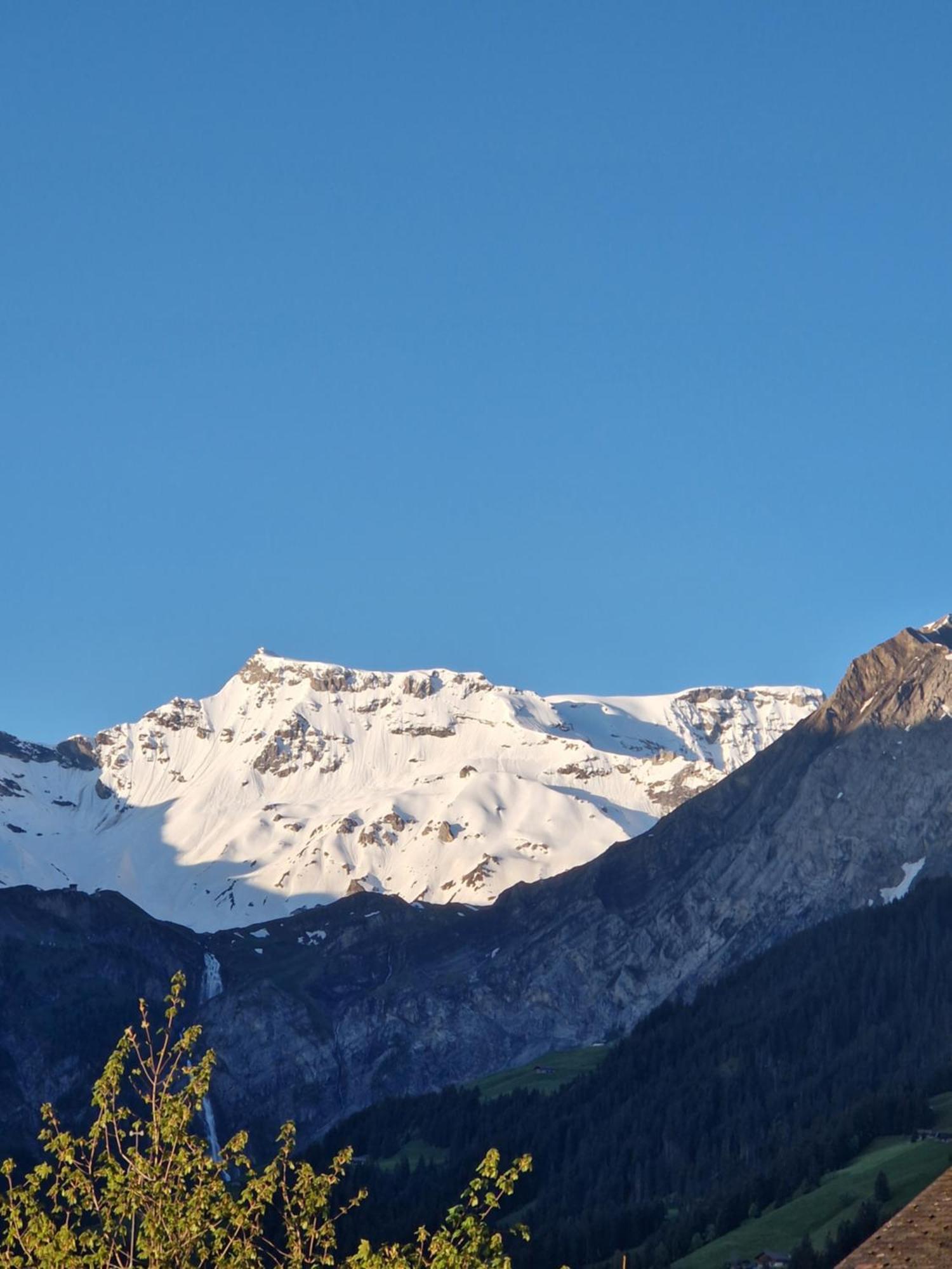 Chalet Gotthelf Gartenstudio, Ferien Mit Hund Adelboden Luaran gambar