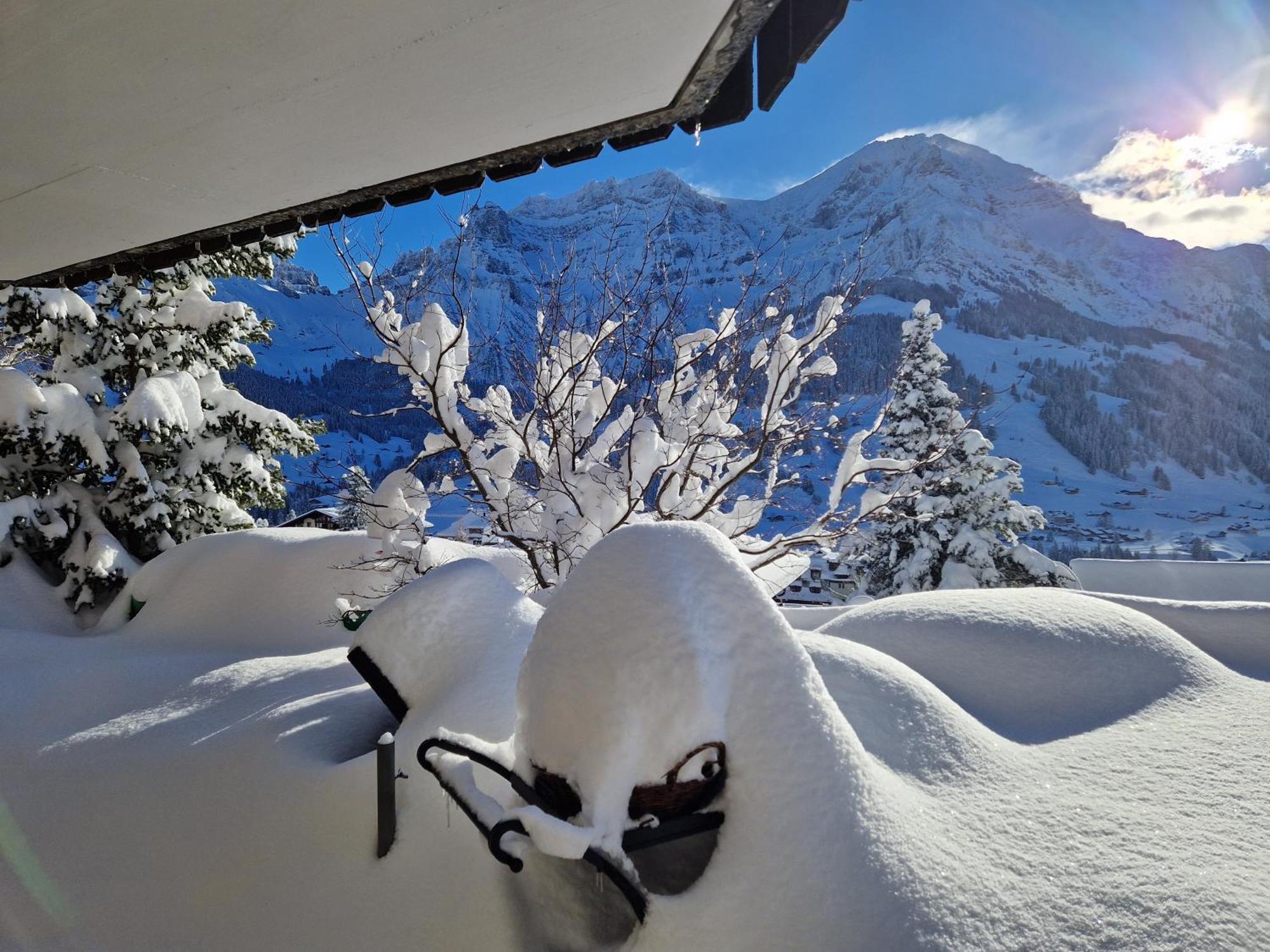 Chalet Gotthelf Gartenstudio, Ferien Mit Hund Adelboden Luaran gambar