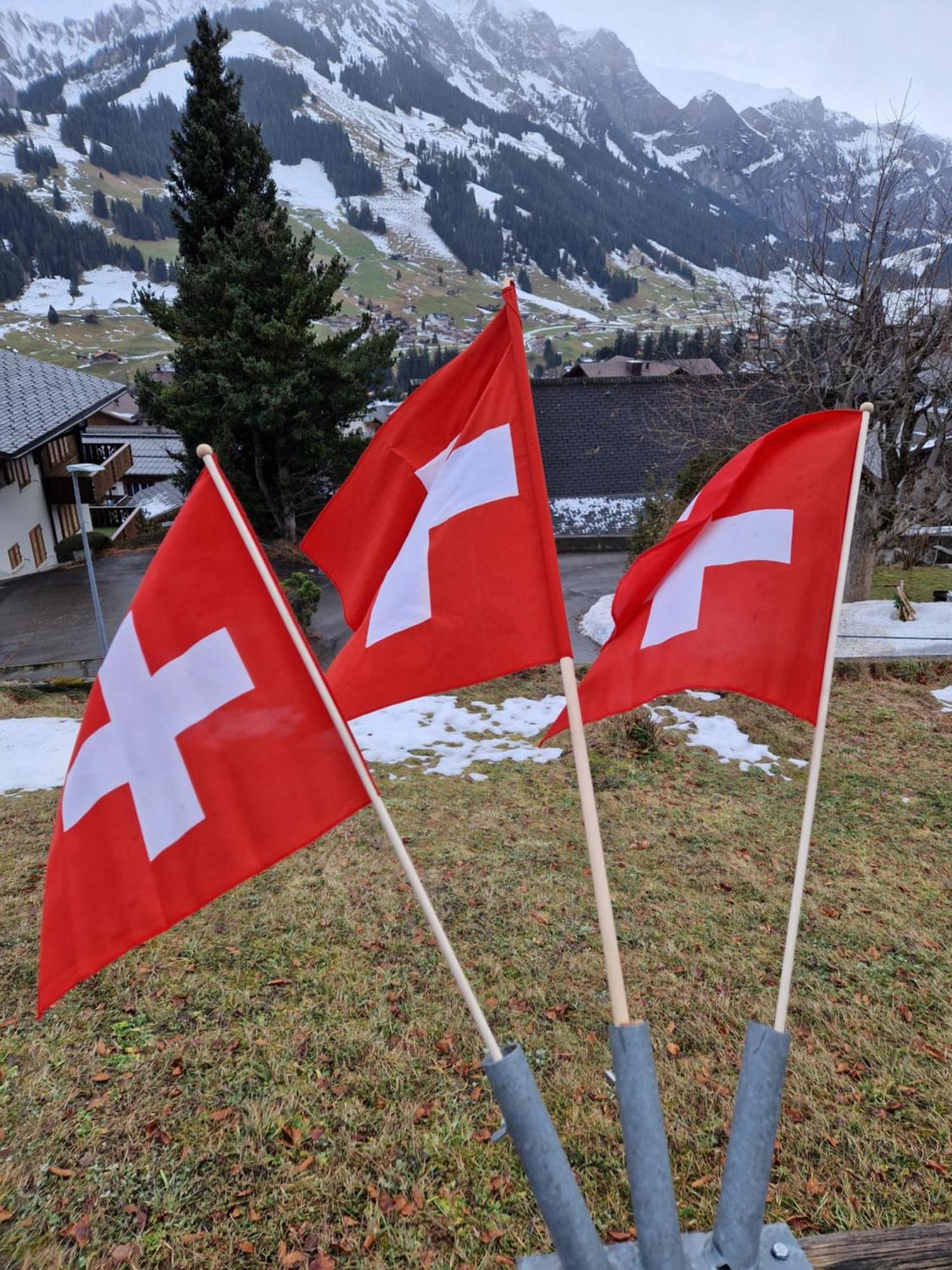 Chalet Gotthelf Gartenstudio, Ferien Mit Hund Adelboden Luaran gambar